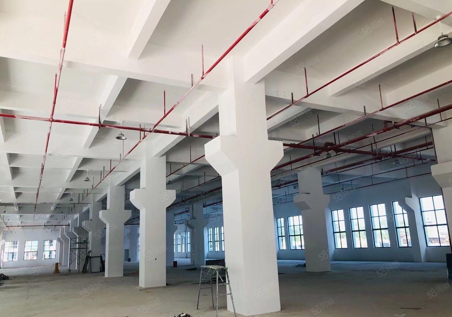 惠阳镇隆皇后全新厂房46000平出租1000平起租