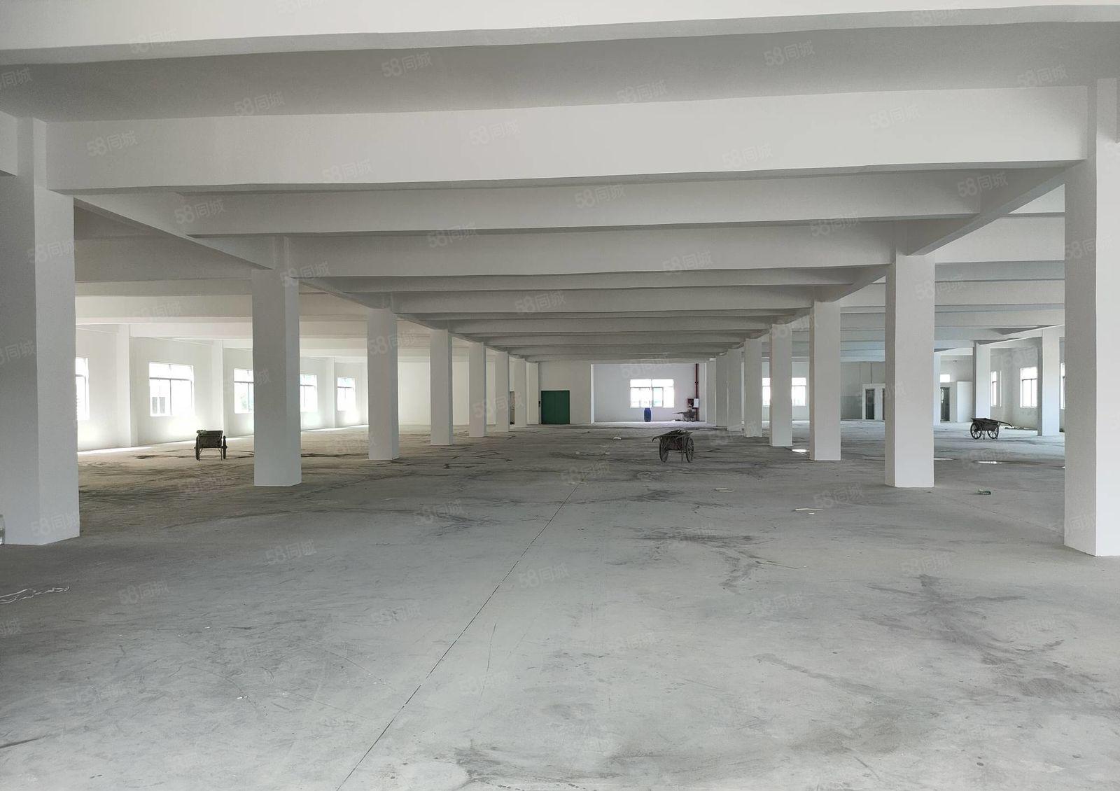 惠阳新圩约场高速路口附近15000平方全新独栋厂房招租7米高