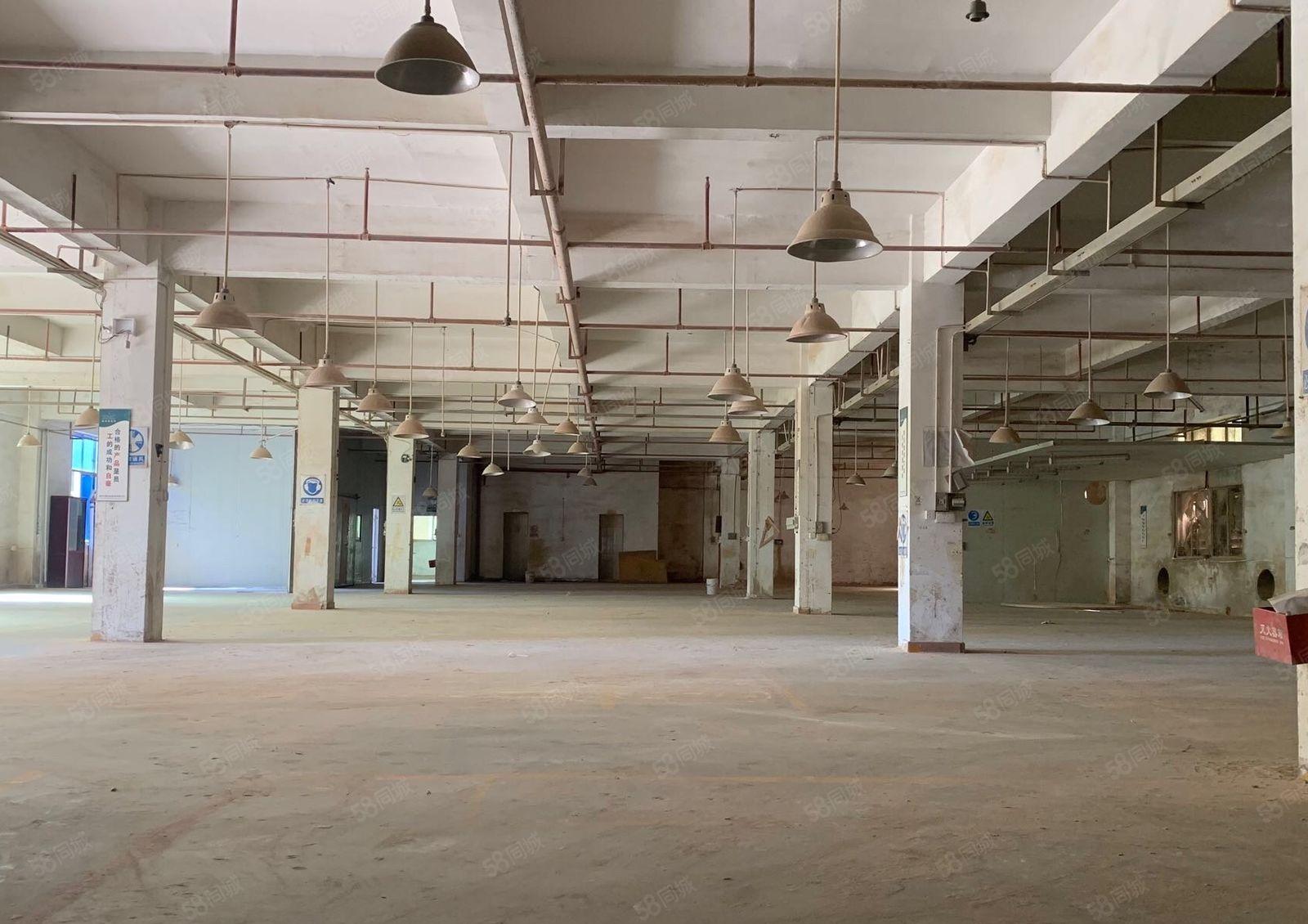 （现成喷油房家具环评）秋长白石独院标准3层共5800平出租！