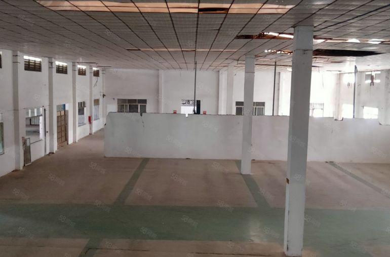 惠阳秋长原房东独门独院钢构厂房出租