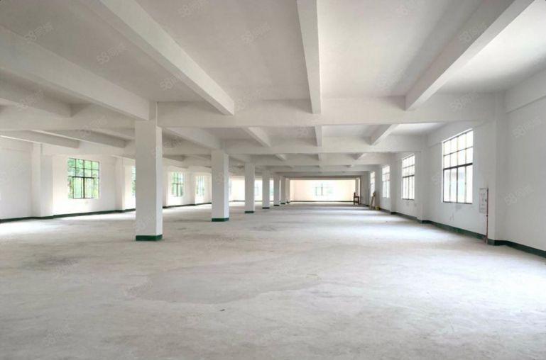 惠州秋长主干道旁村委 独院7200低价出租 齐全 院长大