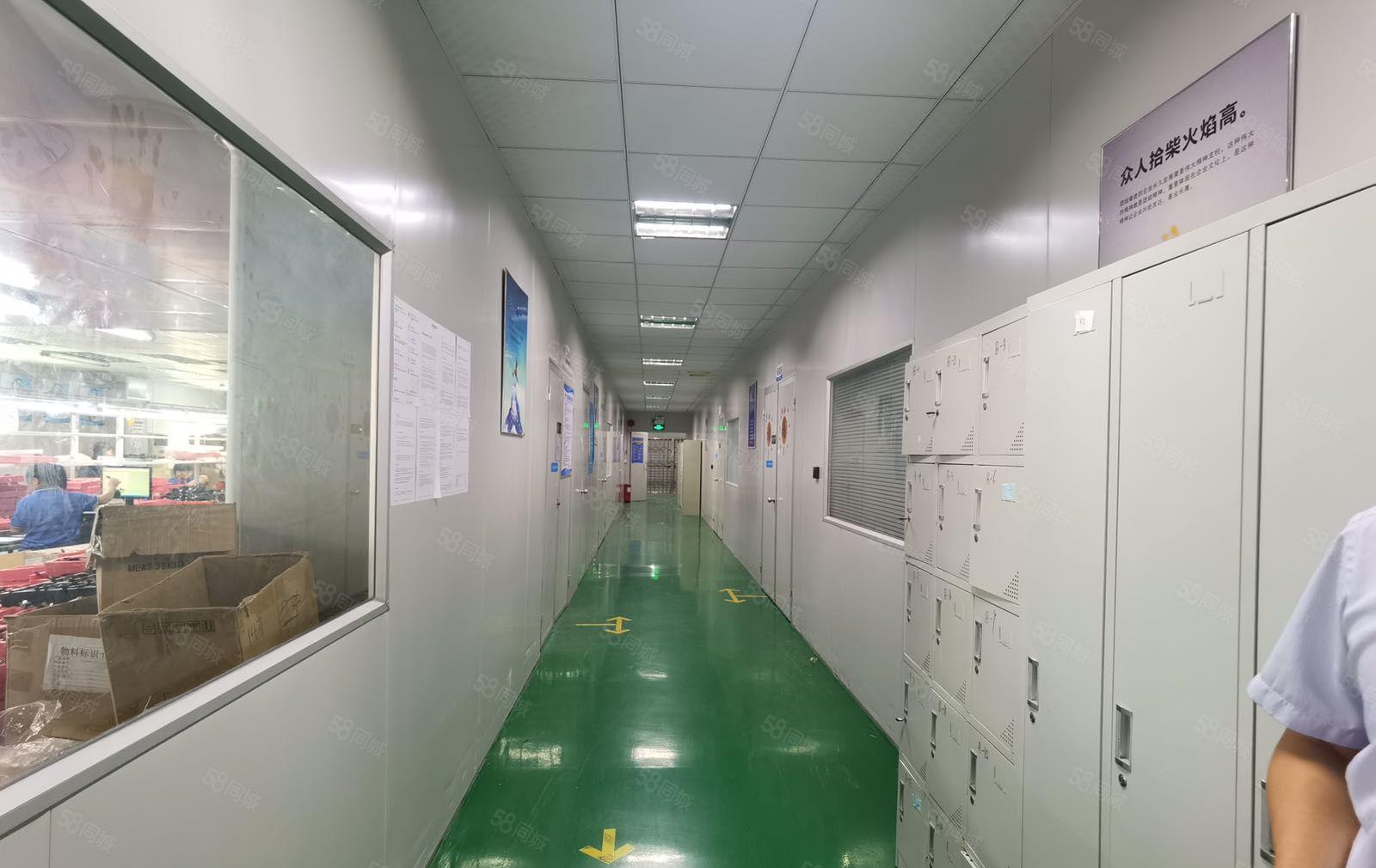 惠阳秋长新塘工业园新出楼上带精装修1200平厂房出租大小分租