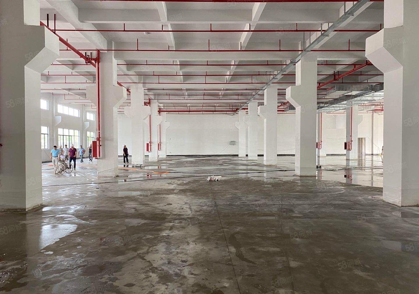 惠阳镇隆皇后全新厂房46000平出租1000平起租