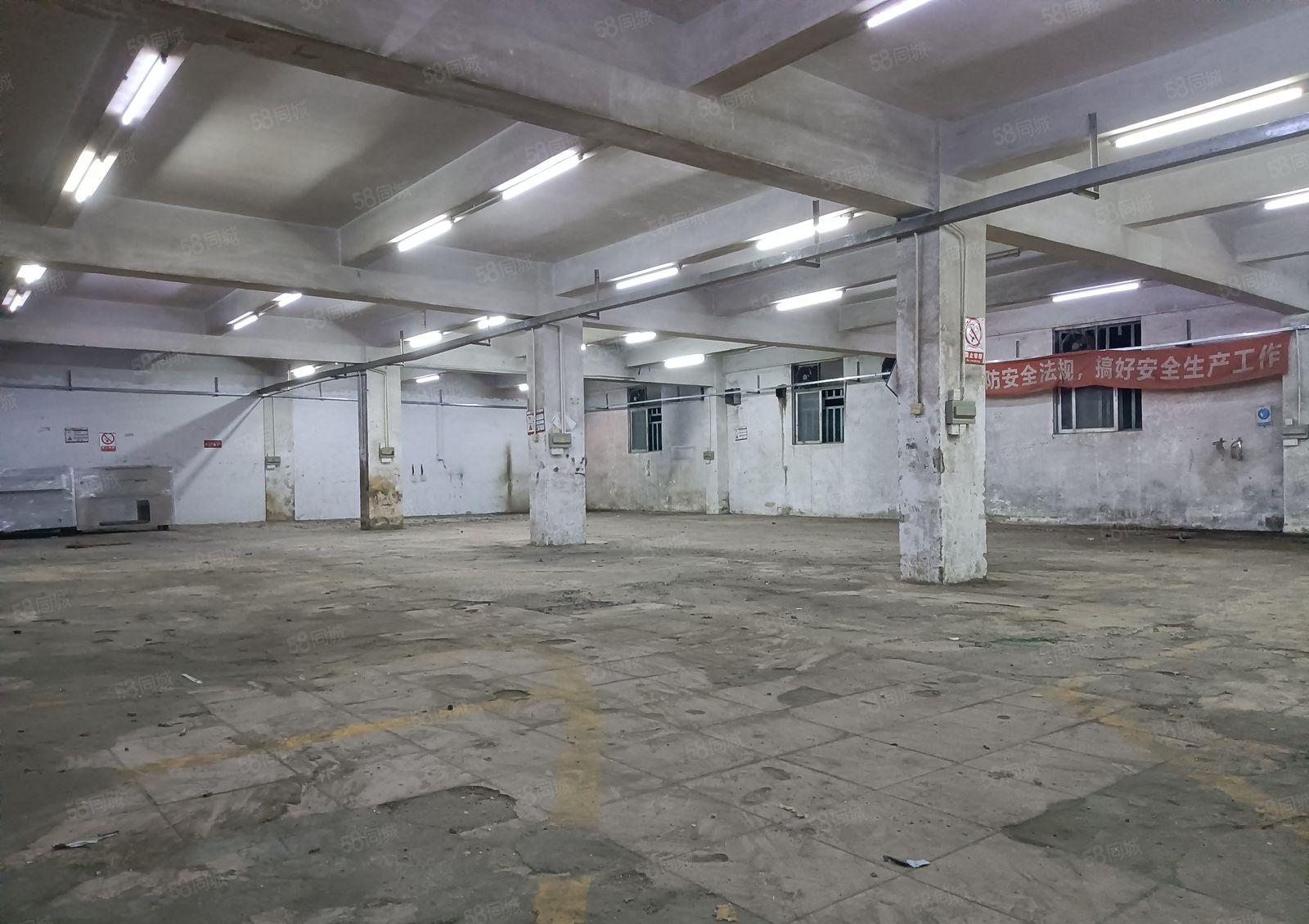 厂房出租惠阳新圩一楼标准厂房1000平，高5.5米可分租