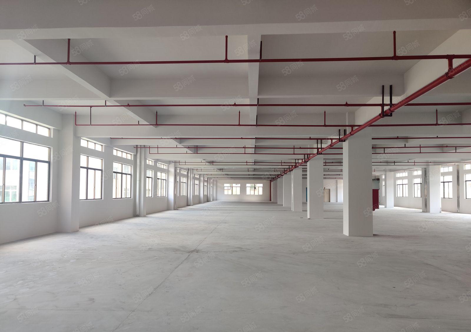 年终清盘丨原房东12元起秋长8千平厂房仓库一楼出租注塑冲压