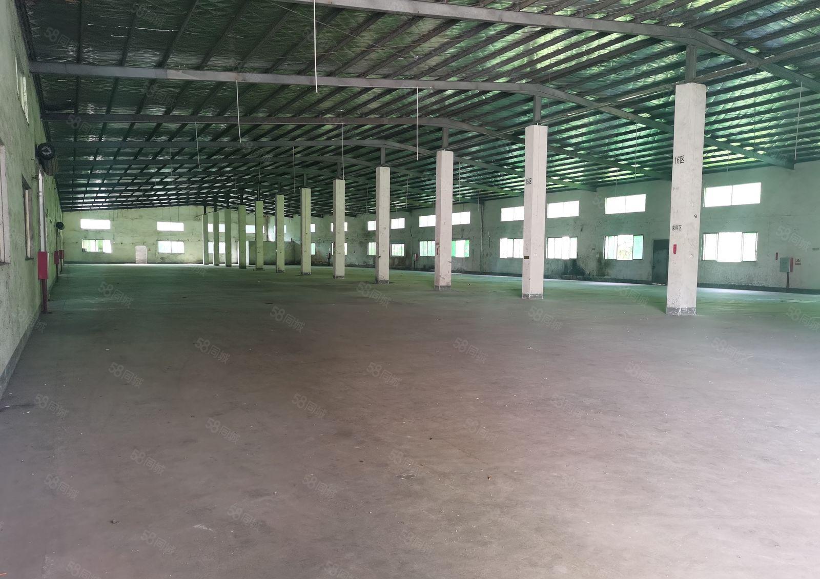 惠阳新圩8000工业区内独院钢构厂房仓库出租靠山边高速口