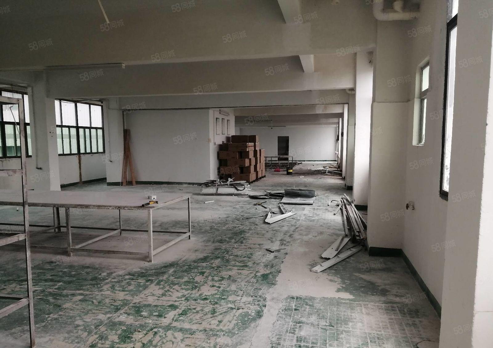 惠阳新出单层标准带装修600平