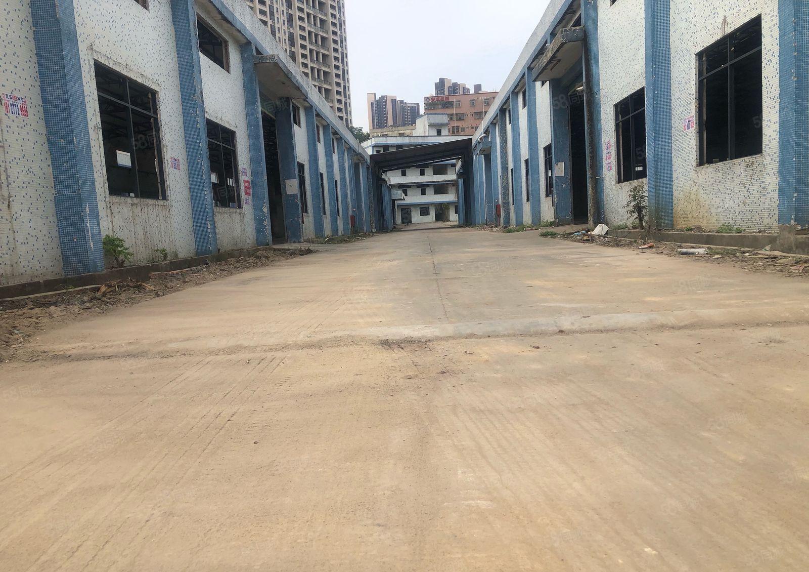 独院钢构厂房惠州市三界交接处国道边交通便利