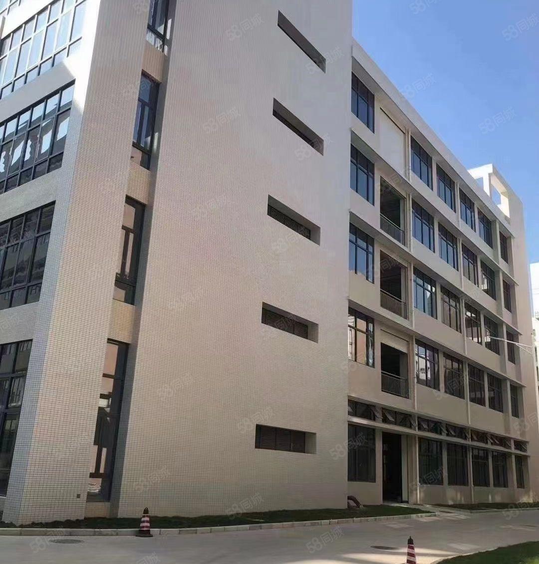 惠阳区秋长6米高一楼标准厂房面积2000平米出租