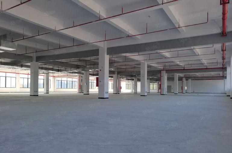 原房东全新红本厂房出租 18600平方 零公摊 含税15元