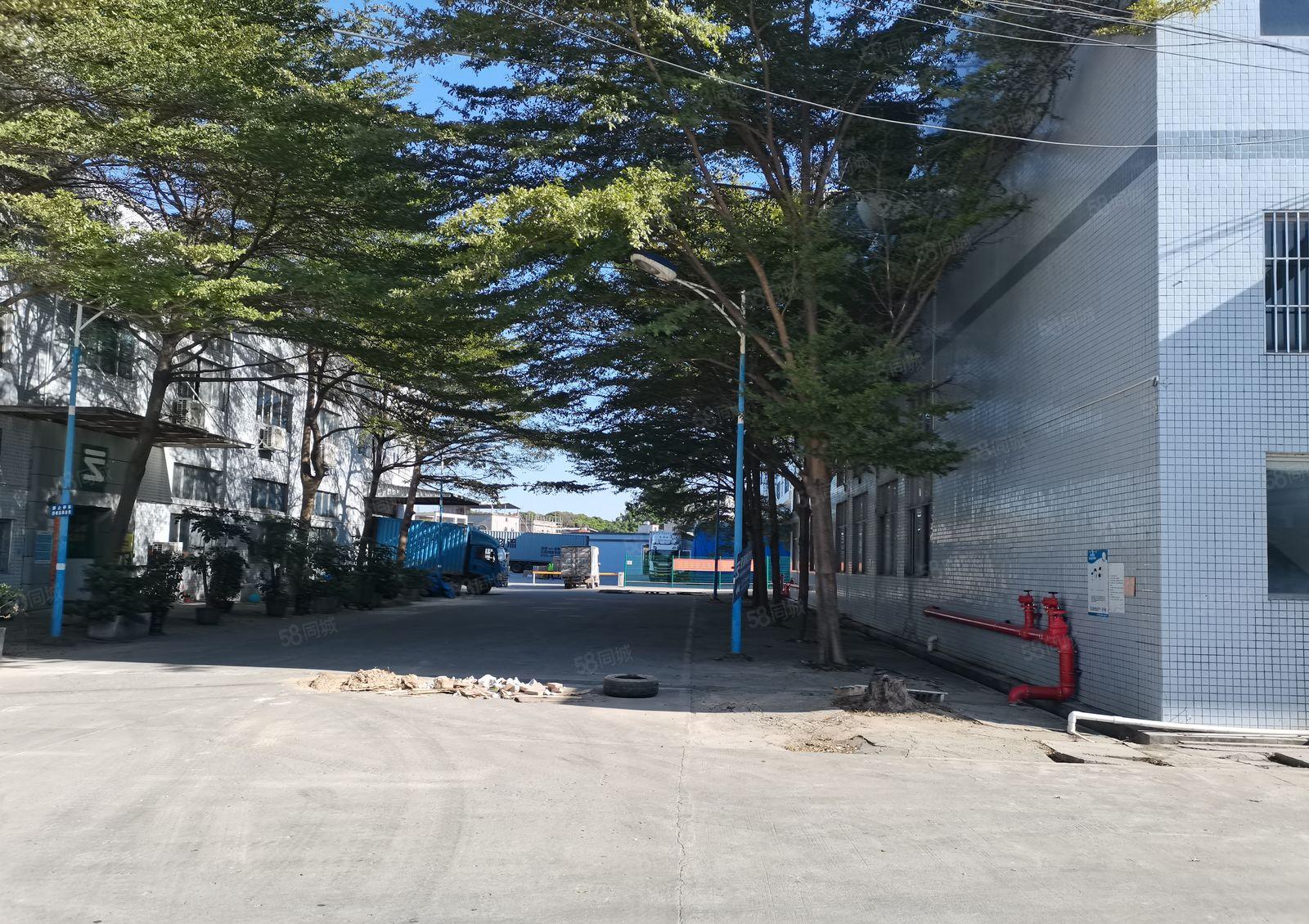 惠州秋长原房东小独院4500平米厂房仓库出租可分租可办环评急