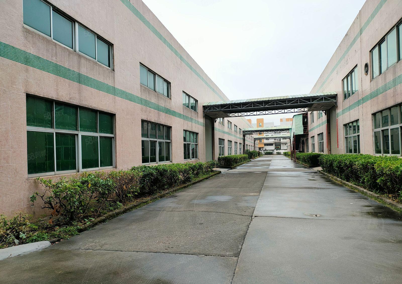 单一层钢结构厂房出租（17000平米，可分租）