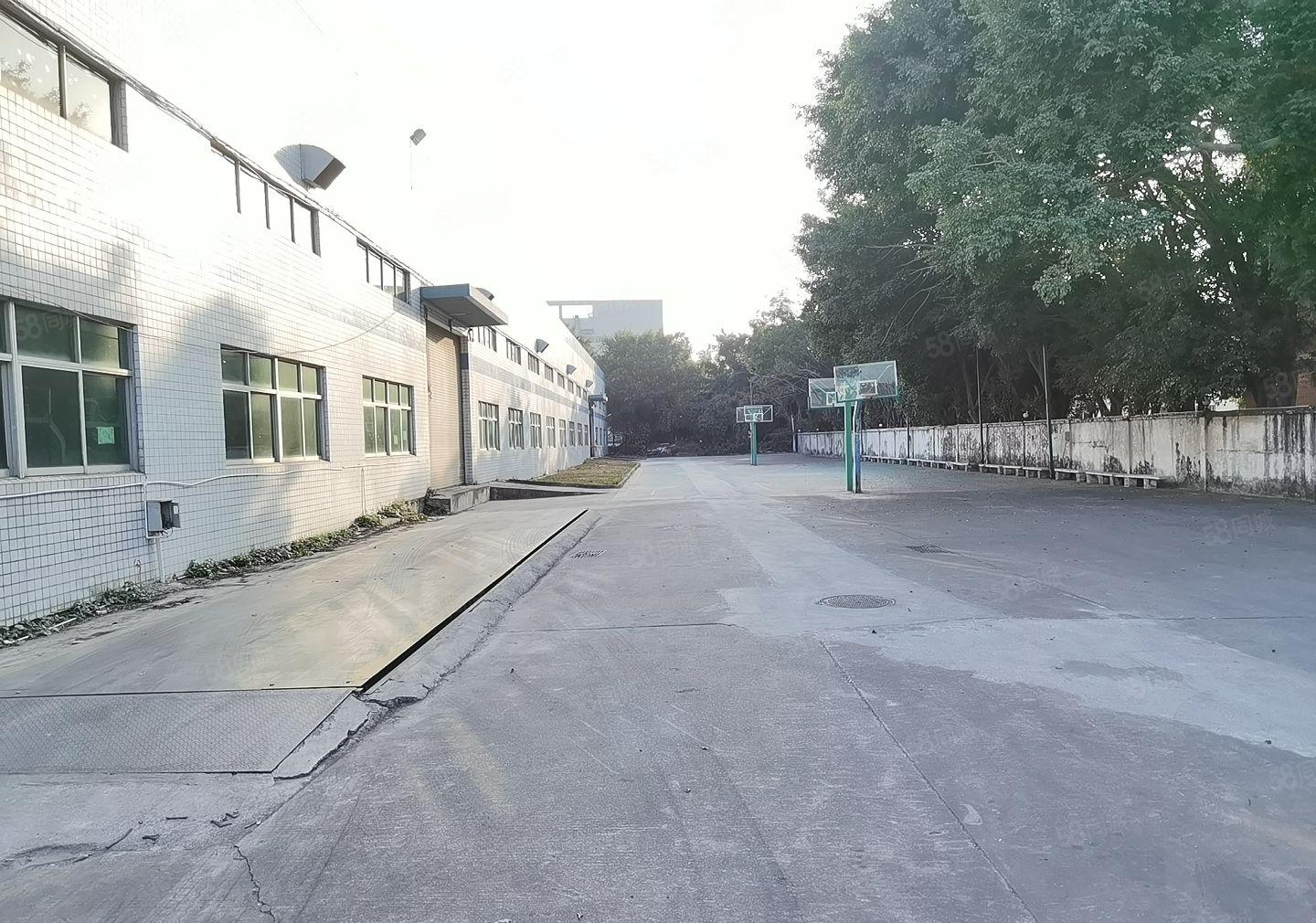 惠阳新圩长布3000平米独栋独院钢构厂房仓库出租大空地原房东