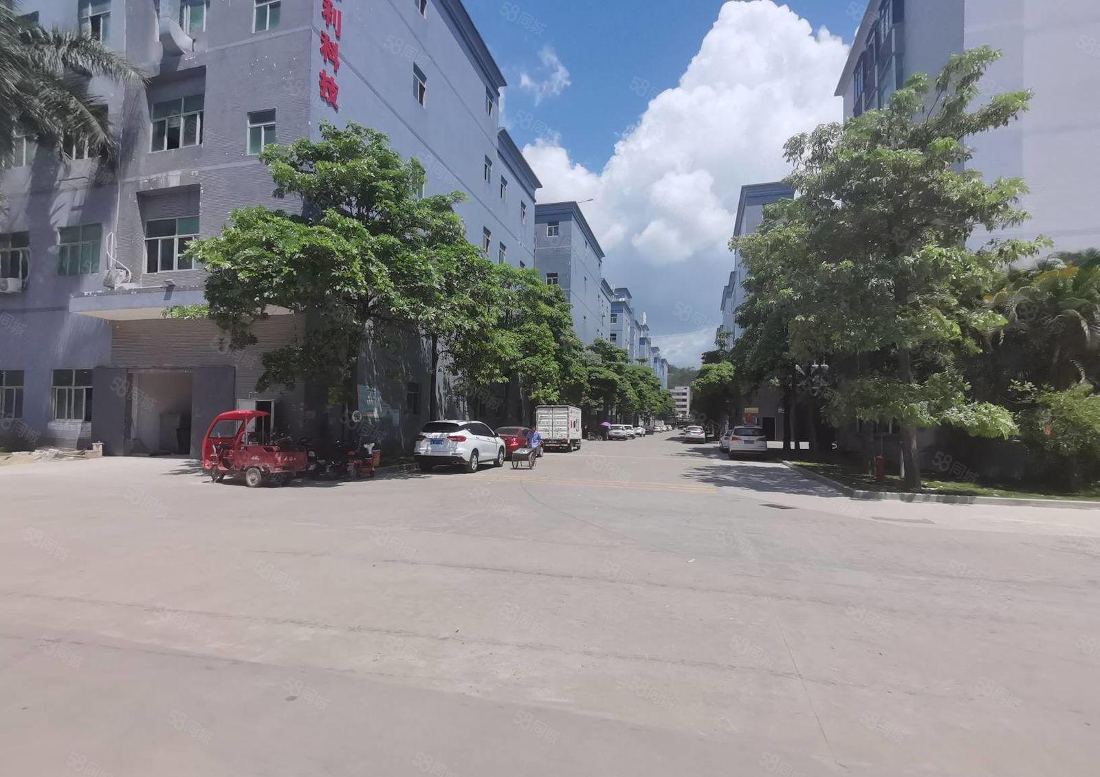 惠阳秋长新塘7万平原房东工业园带装修厂房出租可分租一楼6米高