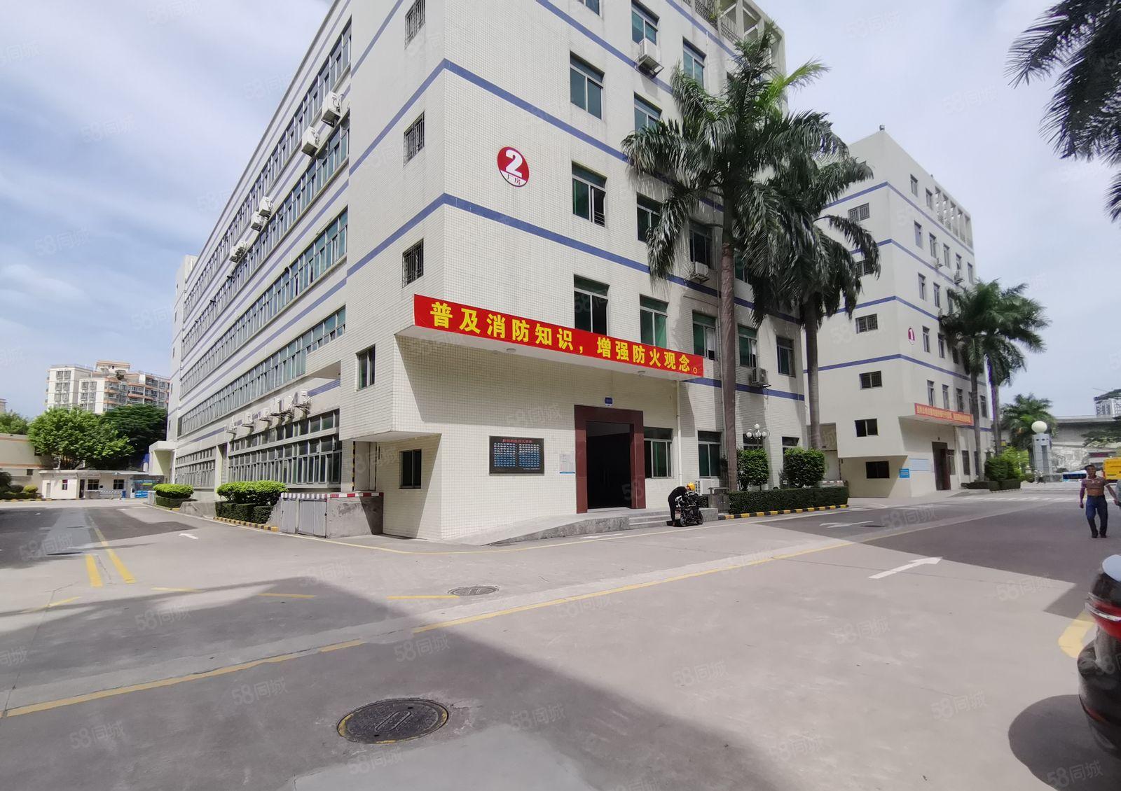 原房东厂房仓库出租证件齐全5百1千3千平起租惠阳沙田8万平