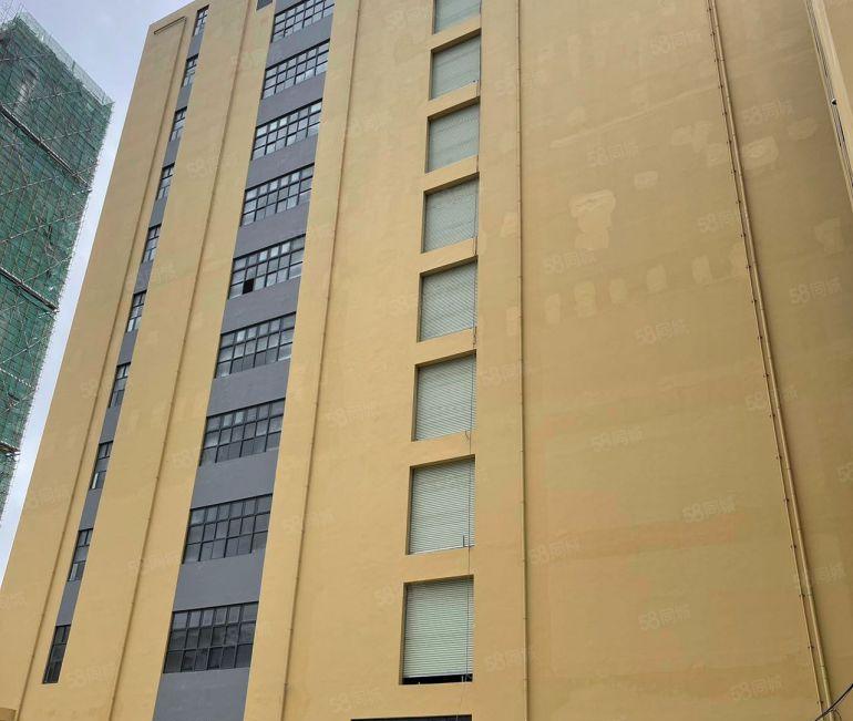 惠阳新圩长深高速出口附近新出原房东花园式厂房35250平出租