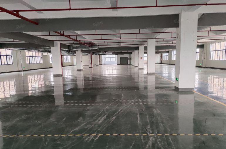 临深惠阳新圩南坑塘吓原房东精装修独栋实际面积低价出租可分租