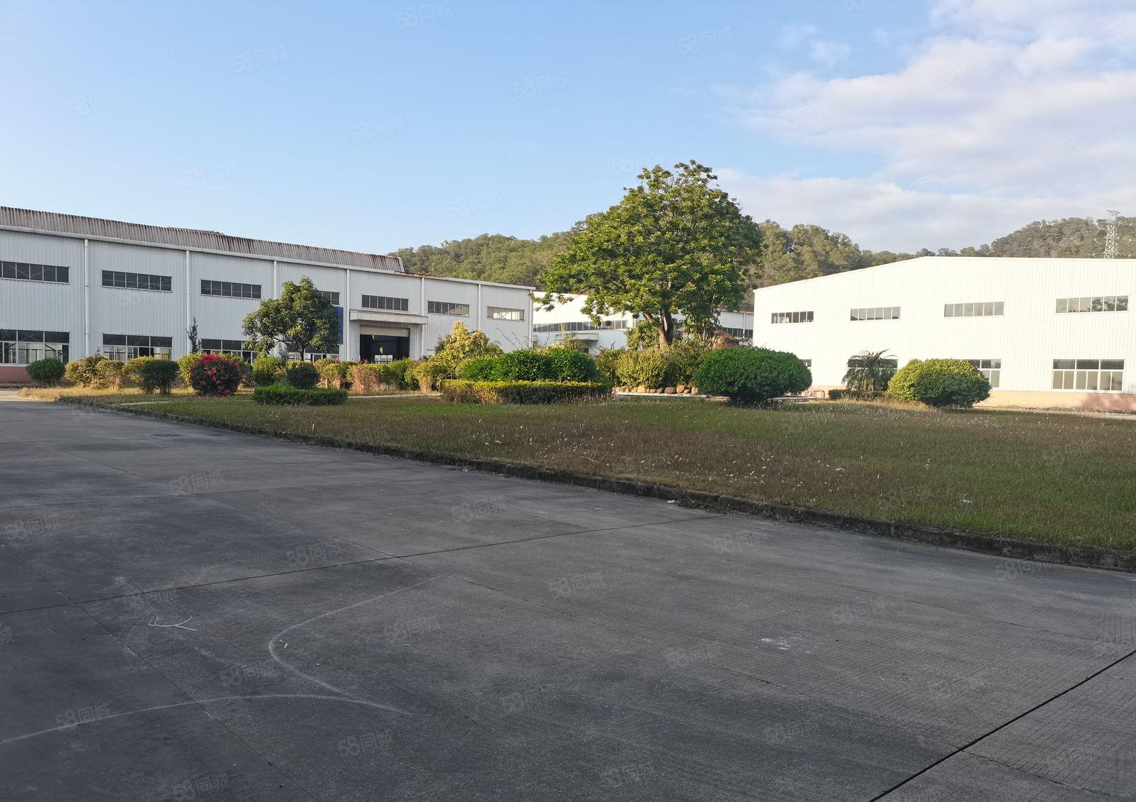 惠州惠阳秋长茶园工业花园式钢构厂房一楼3000平米厂房出租急