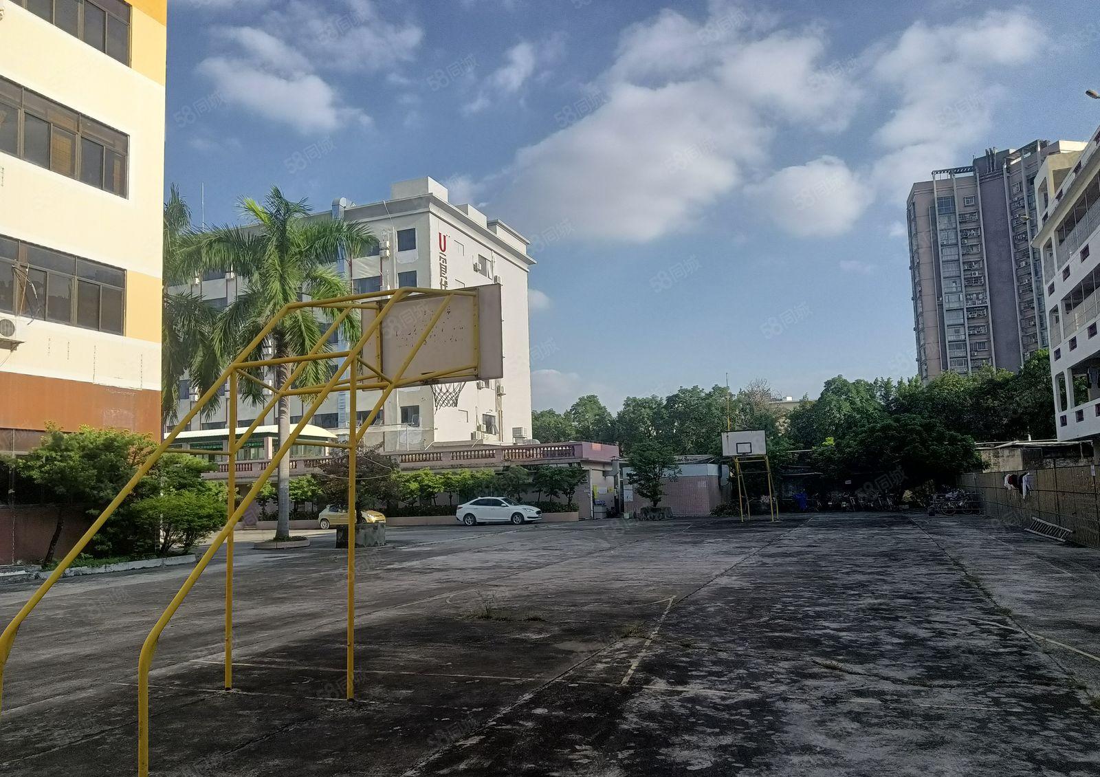 厂房出租惠阳秋长800平钢构厂房，高7米，园区空地超大