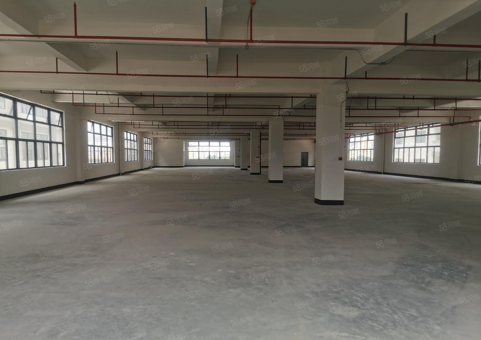 惠阳镇隆原房东5600平方独门独院厂房证件齐全，可办环评，