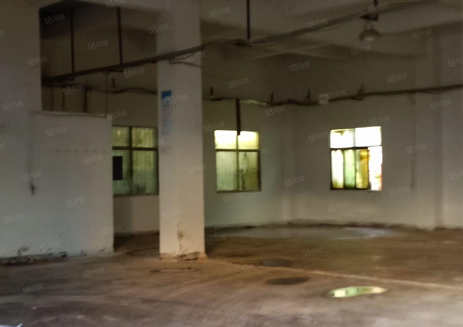 塘口独院2400平方三层有红本厂房出租