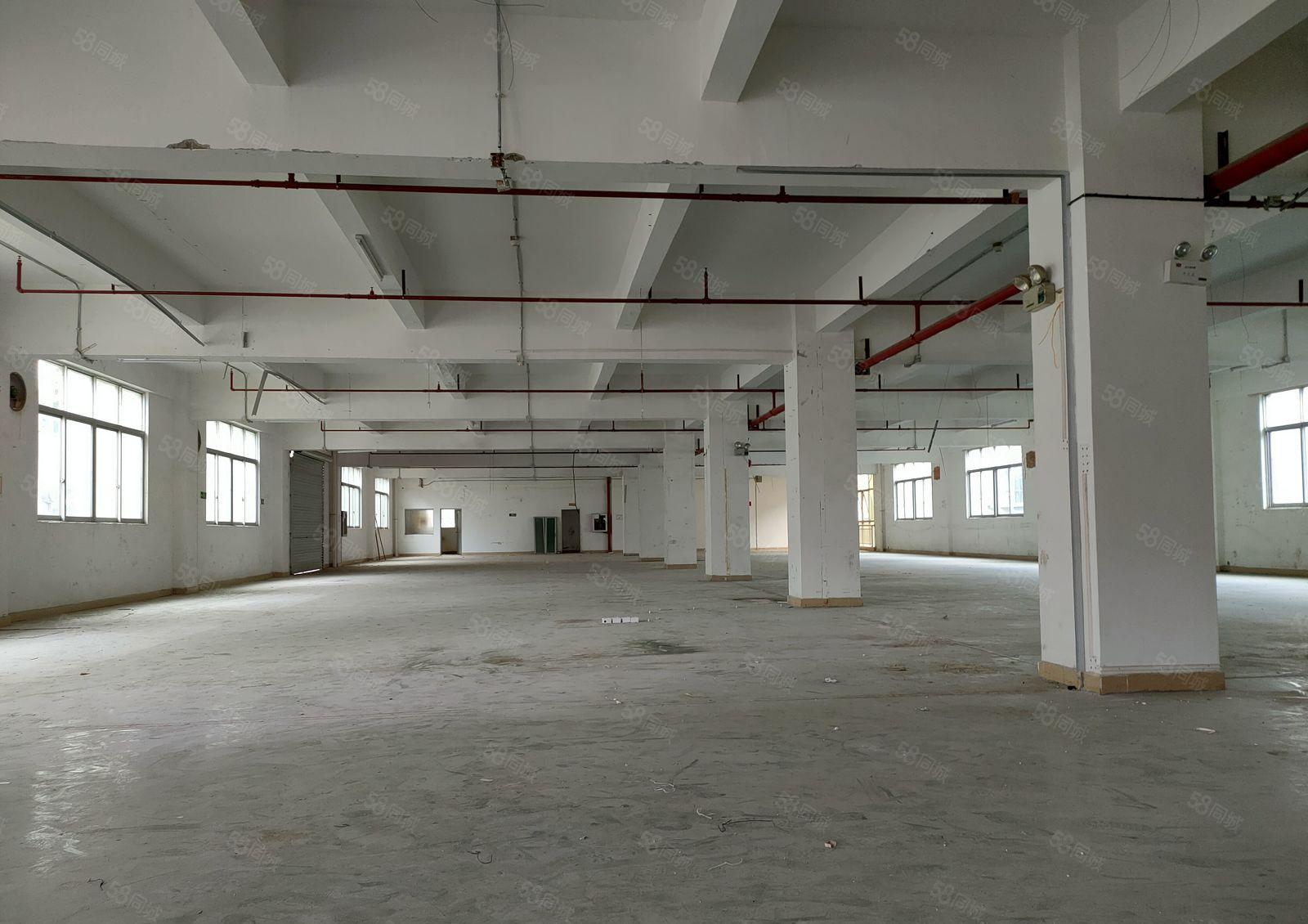 花园式厂房招租（整栋6000平米15000平米，可分租）