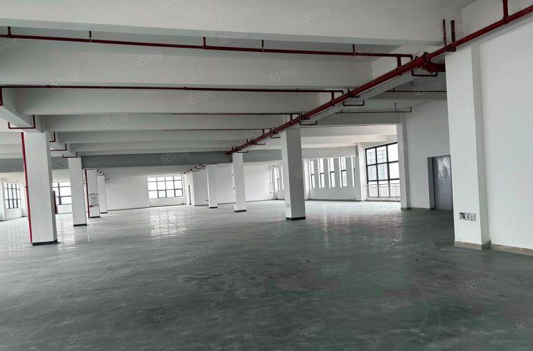 惠阳区秋长茶园原房东全新红本标准厂房68888平方低价出租