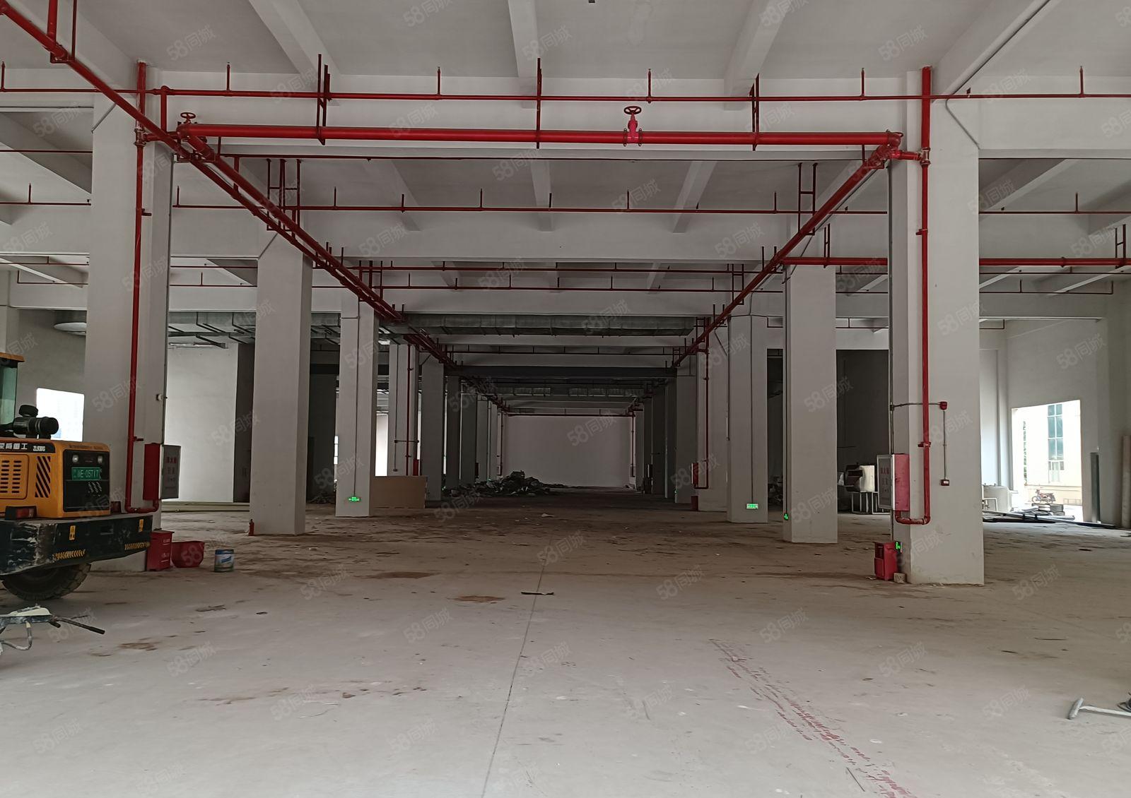 （500平方起分租）惠阳镇隆全新红本标准厂房24000平方