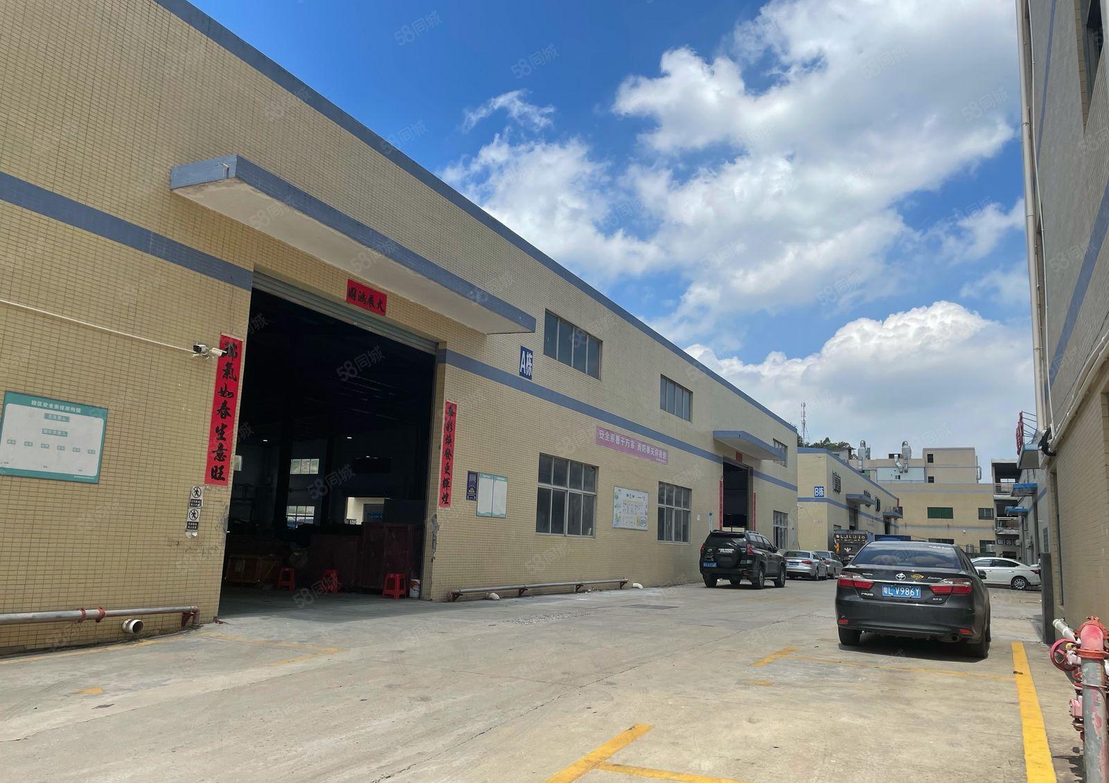 新圩镇镇中心园区独栋砖墙到顶单一层钢构6千平方厂房出租可分租