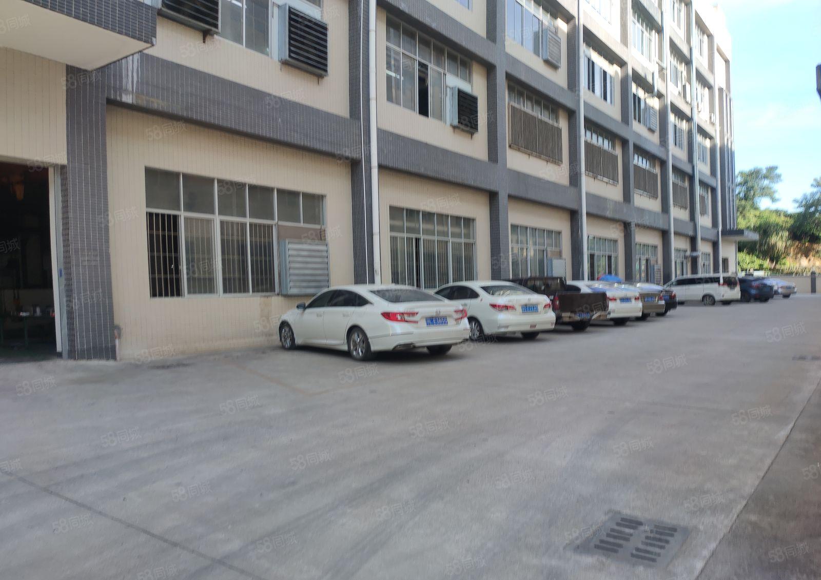 原房东厂房8元起镇隆工业园2百5百1千2千仓库厂房低价出租，