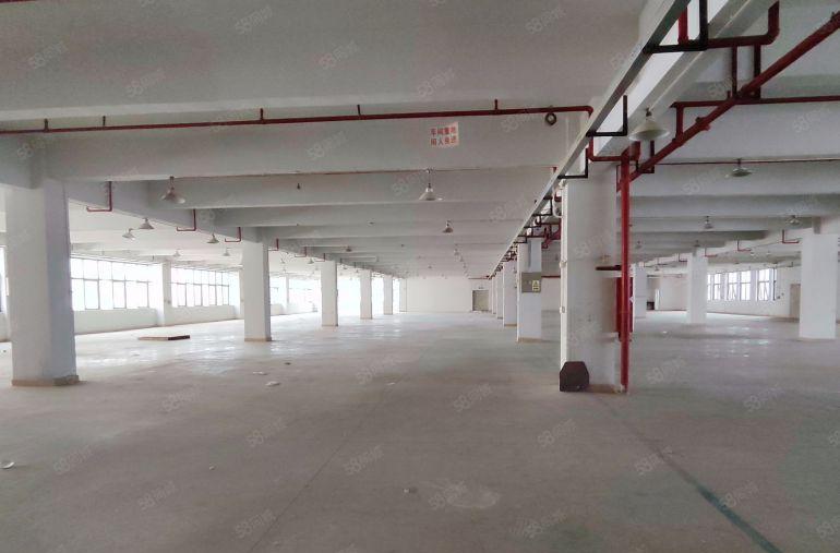 惠阳区秋长原房东标杆之一的高标准厂房百平起租