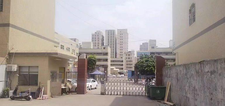 17元急租滴水12米！秋长白石4000平方原房东厂房仓库出租