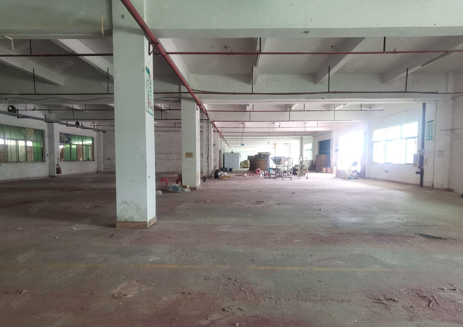 1千2千5千起租全新标准钢构混合独院厂房招租，证件齐全有红本