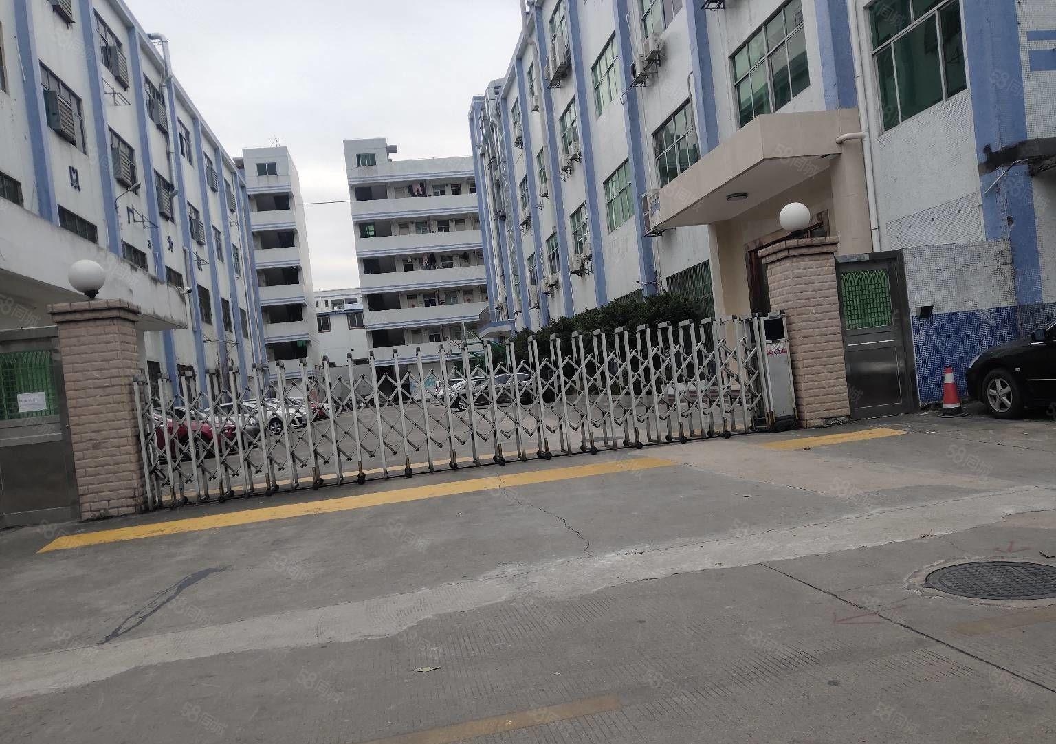 惠阳秋长5万平原房东工业园带装修厂房出租300平分租一楼6米