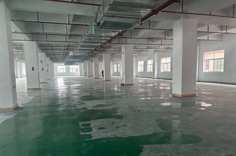 惠阳秋长红色干线旁边新出原房东标准一楼厂房仓库低价出租可分租