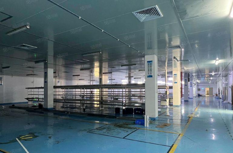 惠阳开发区，红本3600平，可，10元一平，可分租