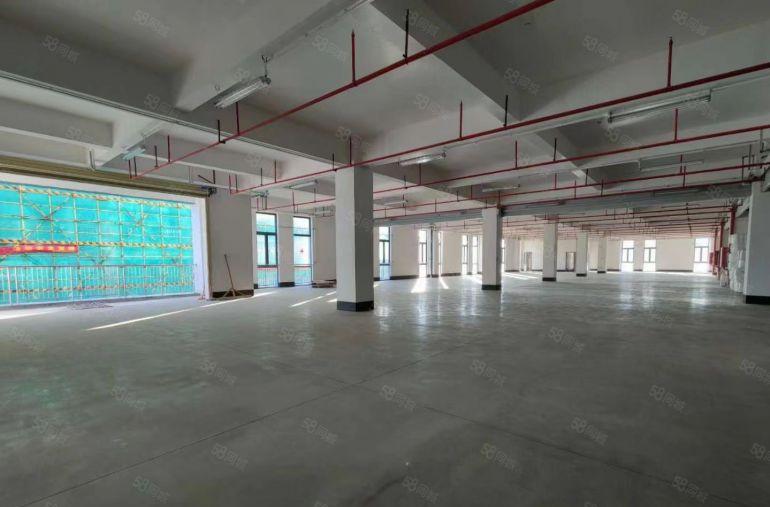 临深秋长湾东智谷全新红本厂房直租，无公摊
