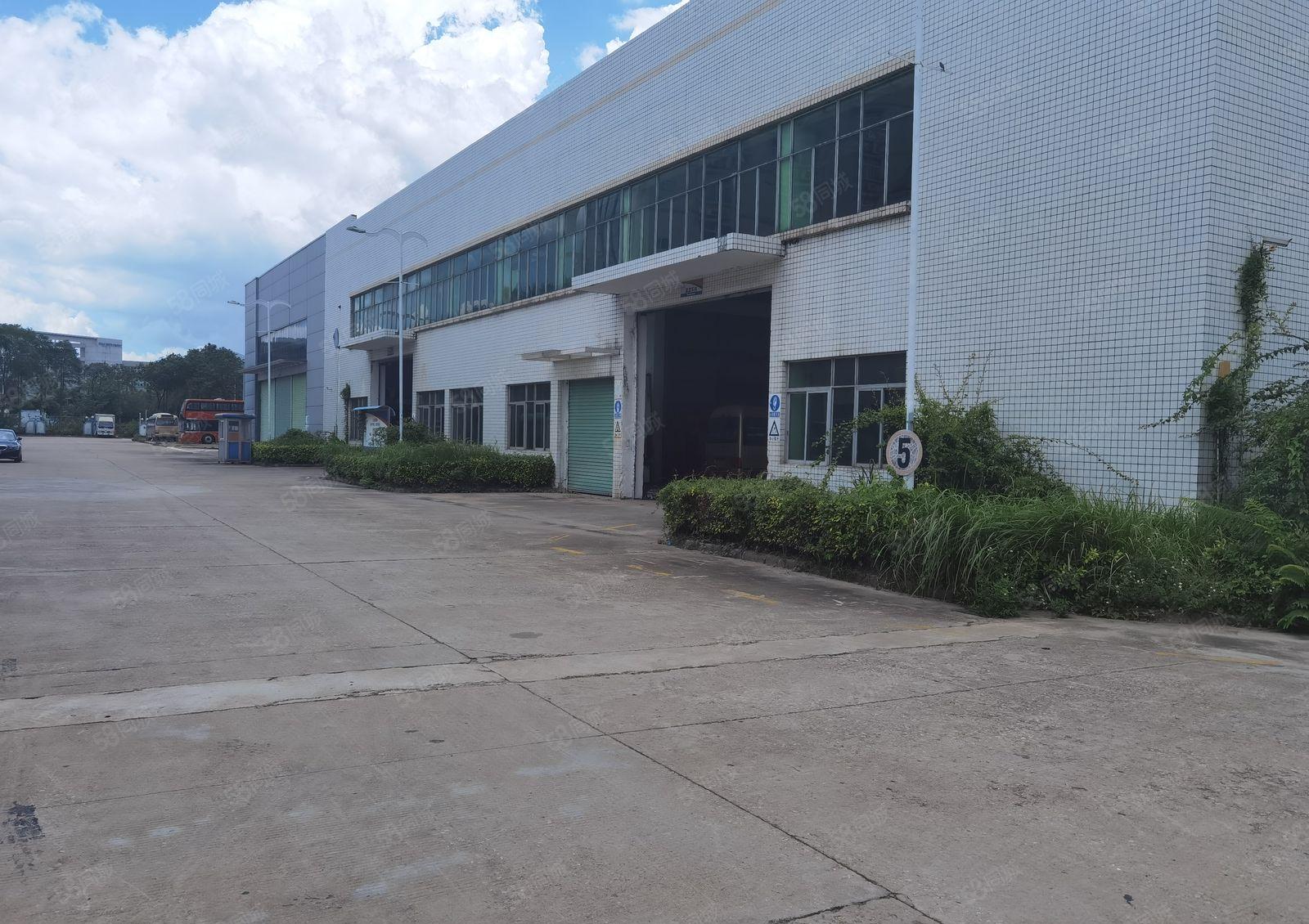 惠阳新圩独院5000平米钢构厂房仓库出租红本原房东可办环评