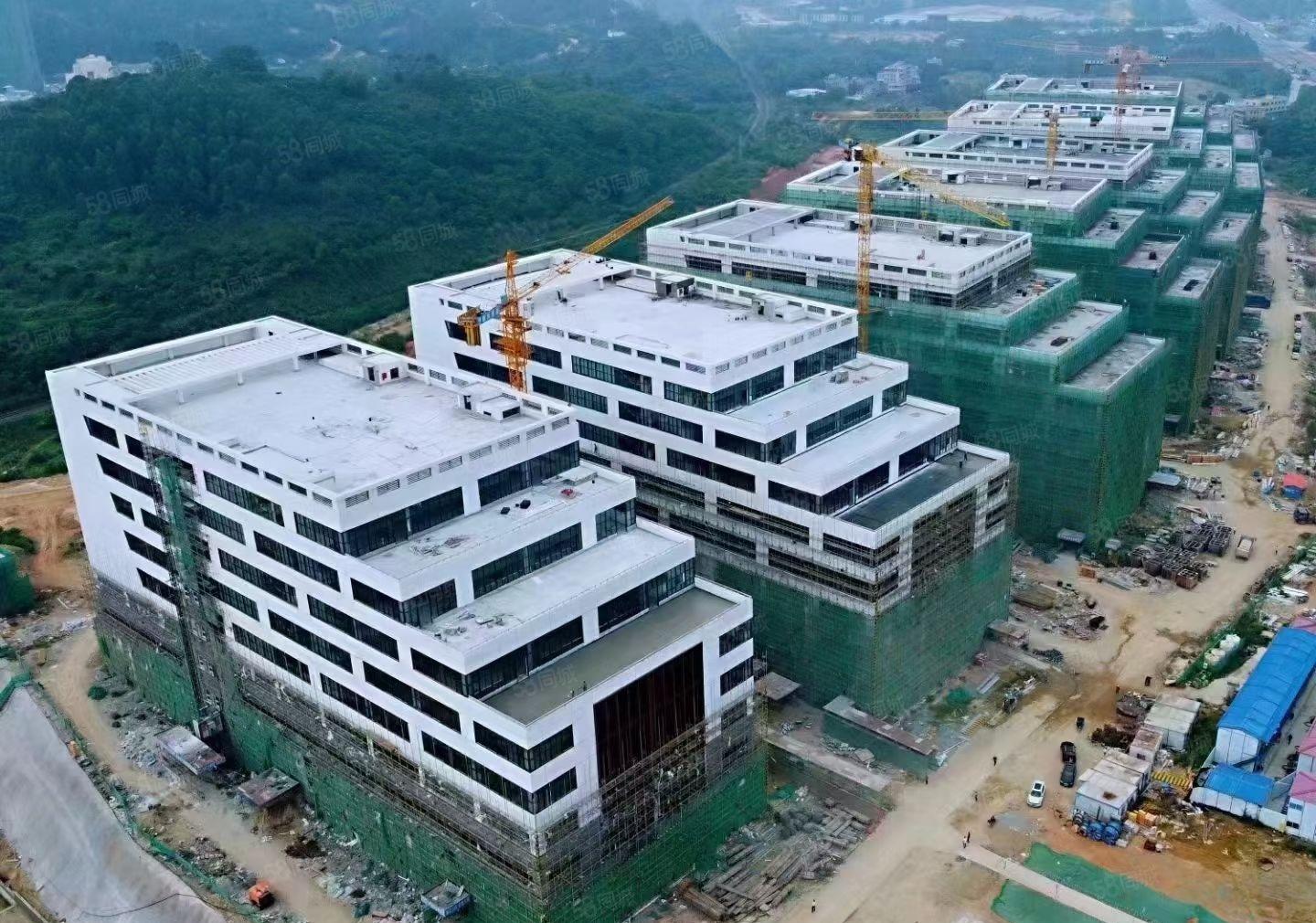 （1000平起分租）惠州惠阳原房东花园式厂房出租