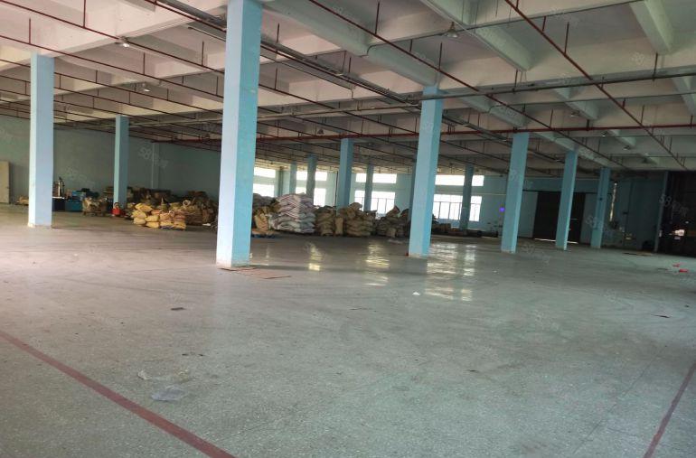 标准厂房，空地和厂房11，1500平隔楼免费送，带卸货平台