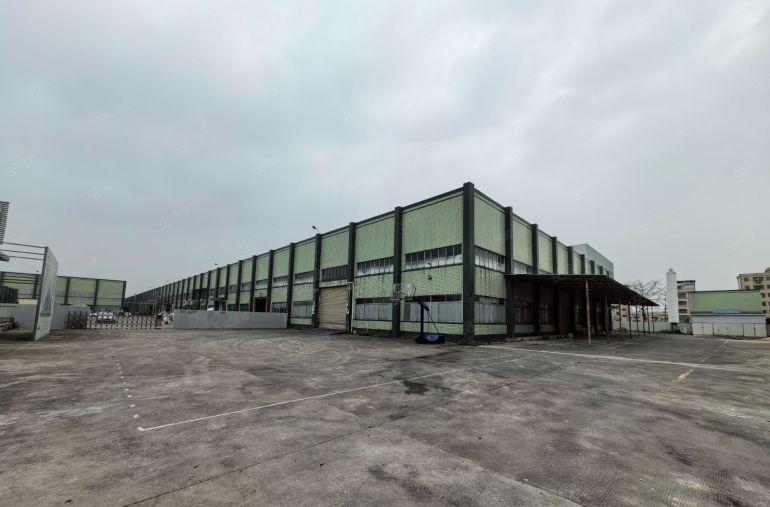 空地超大现成办公室镇隆2400平原房东独门独院钢结构厂房出租