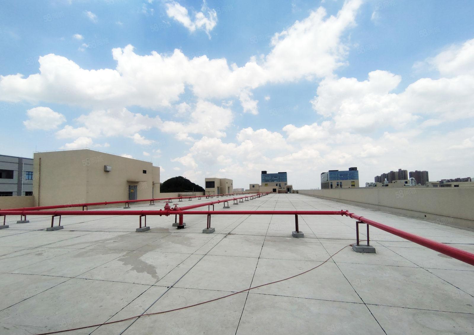 10元租惠阳淡水工业区红本厂房1600平方高速路口交通便利