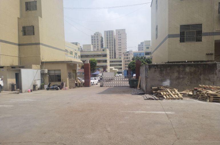 17元急租滴水12米！秋长白石4000平方原房东厂房仓库出租