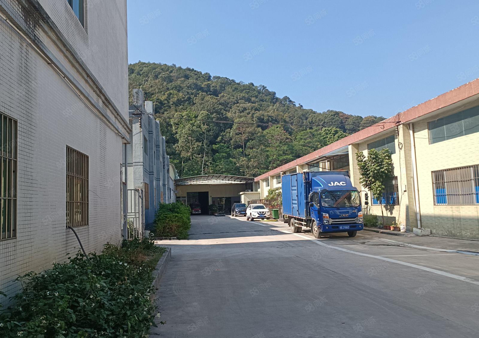 （周边无居民不限行业）镇隆205国道边新出独院钢构8750平