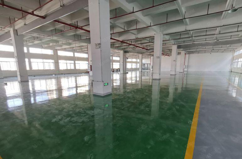 10元租惠阳淡水靠近坑梓红本厂房2000平方带装修低价出租