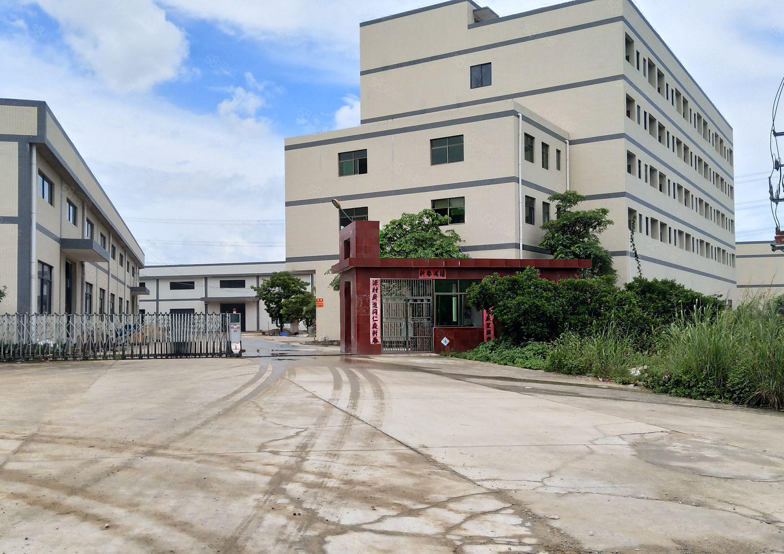 全新单一层钢结构厂房出租，2500平米2栋