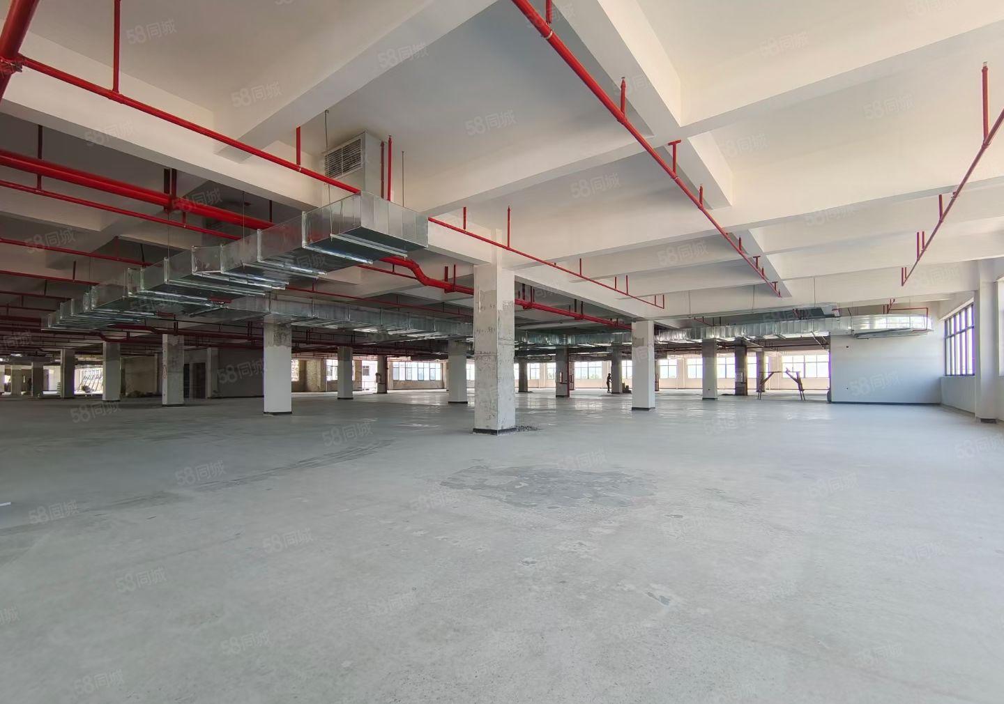 平潭怡发工业区全新独门独院1200平方厂房出租，11元一平