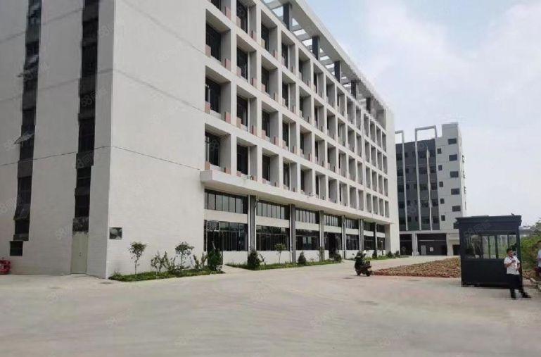 惠州镇隆9元。原房东2000平方厂房仓库低价出租大小可分