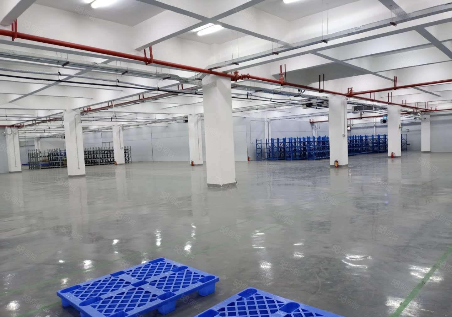 钜惠！镇隆新出标准厂房 机械加工智能制造聚集地 厂房仓库出租