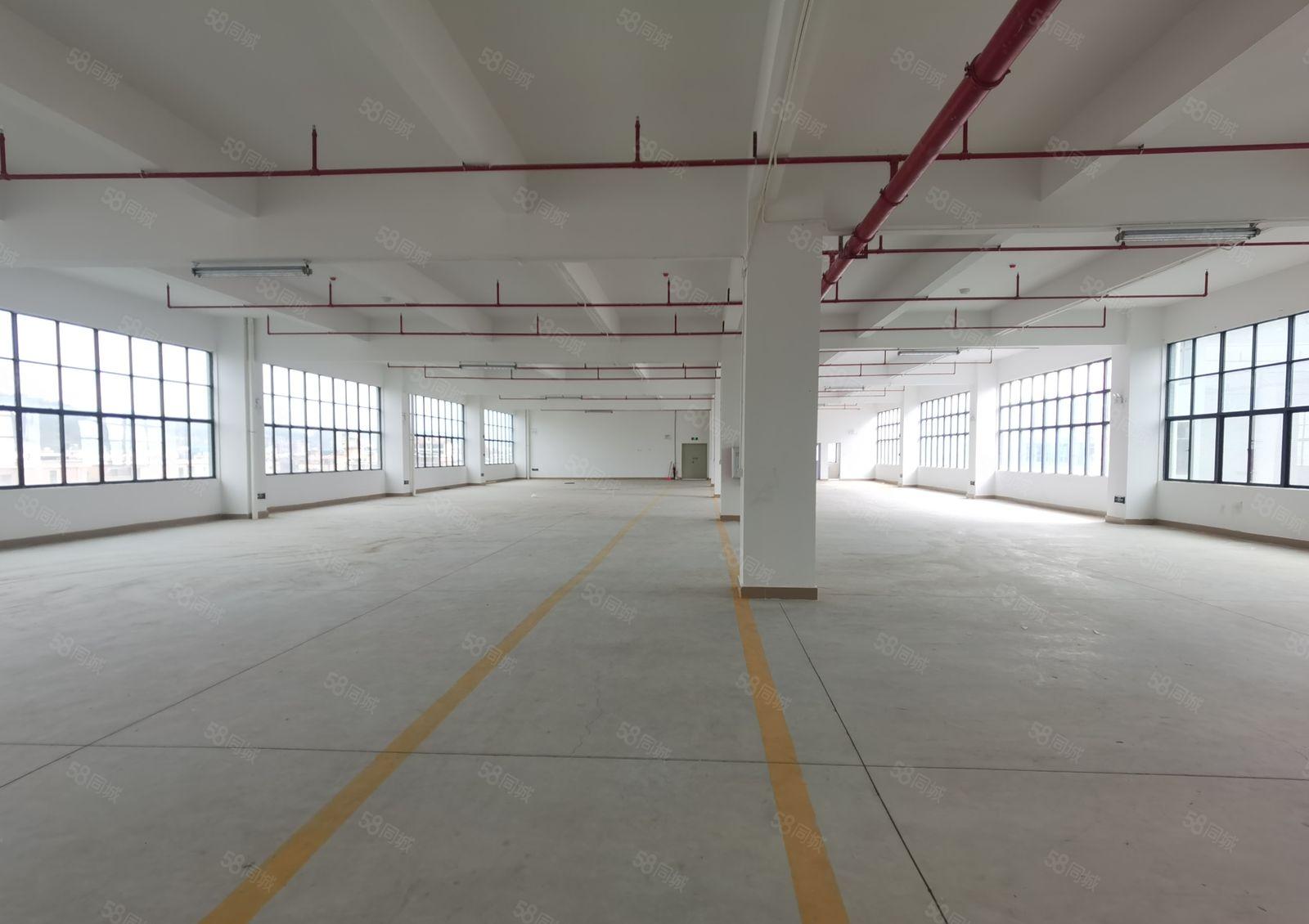 三和经济开发区1000工业园厂房招租，交通方便。拖车可掉头